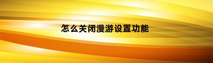 如何禁用漫游设置功能？