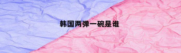 韩国两弹一碗是谁