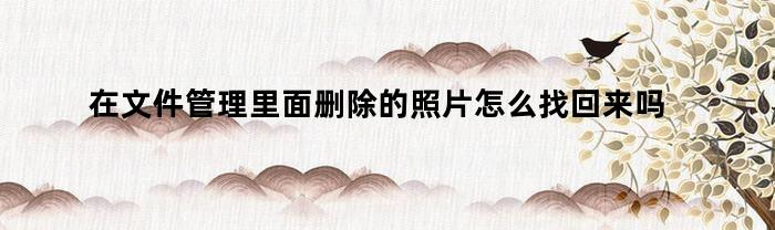 在文件管理里面删除的照片怎么找回来吗（在文件管理删除的照片怎么找回来）