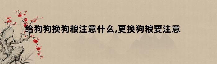 给狗狗换狗粮注意什么,更换狗粮要注意什么（给狗狗换狗粮注意什么,更换狗粮要注意什么问题）