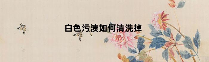 白色污渍如何清洗掉