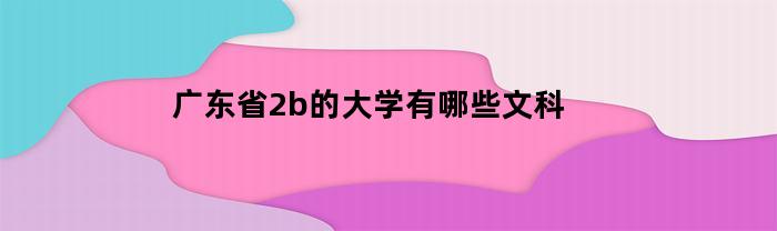 广东省2b的大学有哪些文科