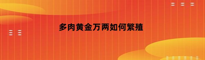 多肉黄金万两如何繁殖