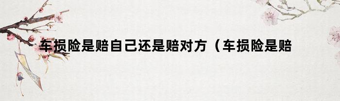 车损险是赔自己还是赔对方（车损险是赔自己的车吗）