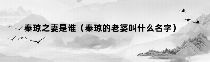 秦琼之妻是谁（秦琼的老婆叫什么名字）