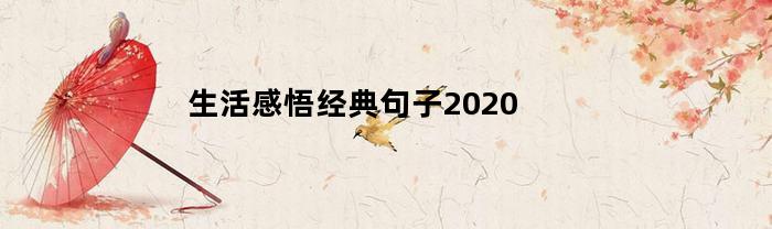 生活感悟经典句子2020