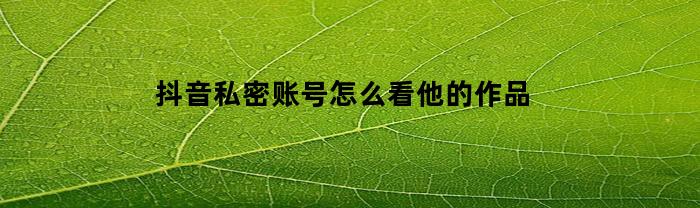 抖音私密账号怎么看他的作品