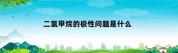 二氯甲烷的极性问题是什么