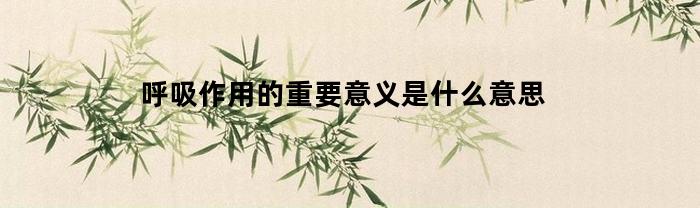 呼吸作用的重要意义是什么意思