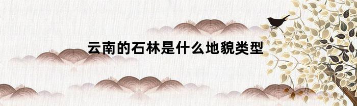 云南的石林是什么地貌类型