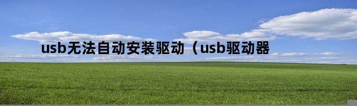 usb无法自动安装驱动(usb驱动器无法使用)