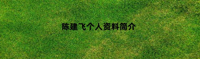 陈建飞个人资料简介