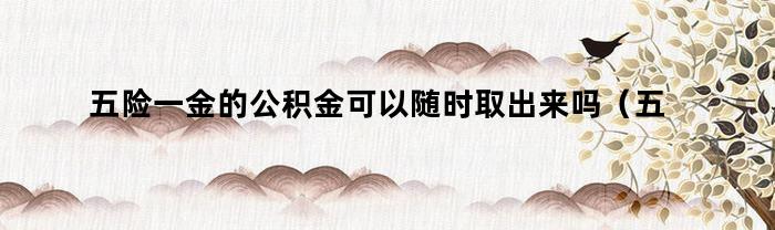 五险一金的公积金可以随时取出来吗（五险一金的公积金可以随时取出来吗怎么取）