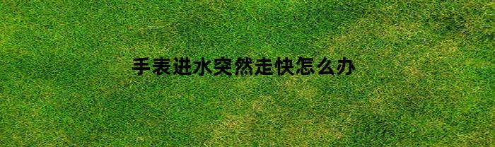 手表进水突然走快怎么办