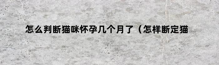 怎么判断猫咪怀孕几个月了（怎样断定猫咪是否怀孕）