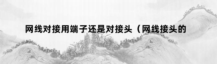 网线对接用端子还是对接头（网线接头的正确接法）
