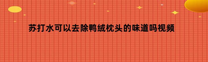 苏打水可以去除鸭绒枕头的味道吗视频
