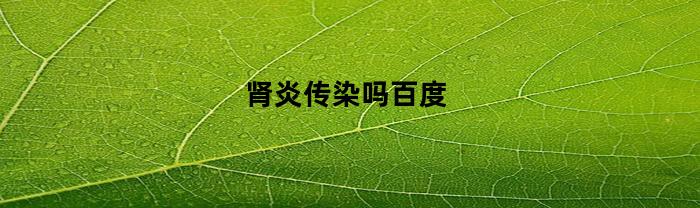 肾炎传染吗百度