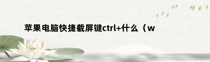 苹果电脑快捷截屏键ctrl+什么（win7如何快速截屏快捷键）