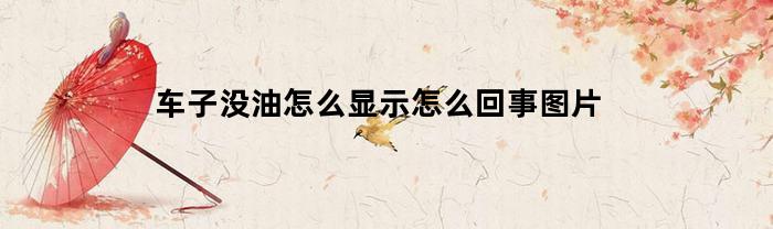 车子没油怎么显示怎么回事图片