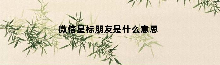 微信星标朋友是什么意思