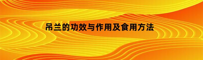 吊兰的功效与作用及食用方法