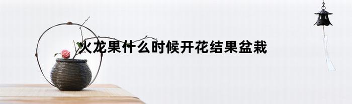 火龙果什么时候开花结果盆栽