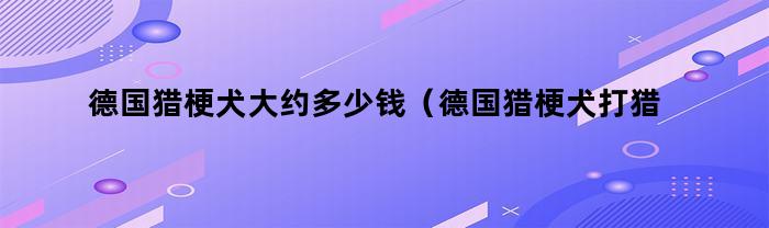 德国猎梗犬大约多少钱（德国猎梗犬打猎怎么样）