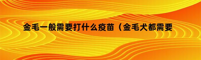 金毛一般需要打什么疫苗（金毛犬都需要打什么疫苗）