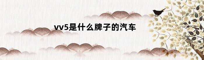 vv5是什么牌子的汽车