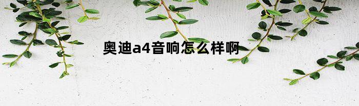 奥迪a4音响怎么样啊
