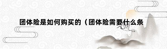 团体险的购买条件和购买方式是什么？