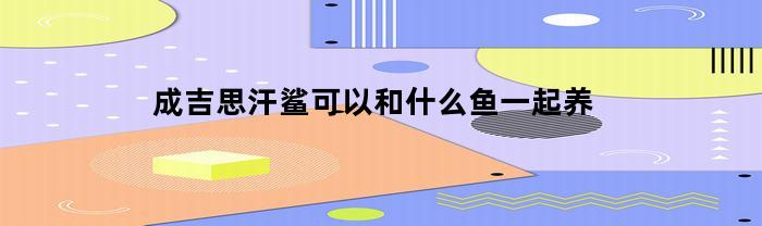 成吉思汗鲨可以和什么鱼一起养