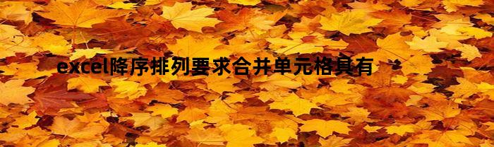 excel降序排列要求合并单元格具有相同大小