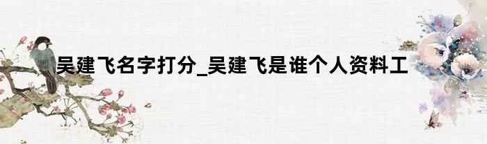 吴建飞名字打分_吴建飞是谁个人资料工作简历表