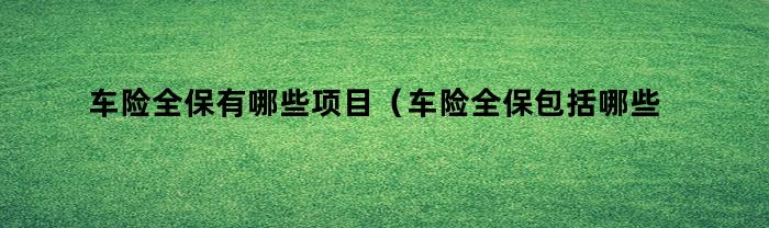 车险全保有哪些项目（车险全保包括哪些多少钱）