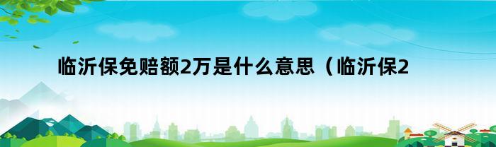 临沂保免赔额2万是什么意思（临沂保2万免赔门槛）