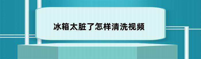 冰箱太脏了怎样清洗视频