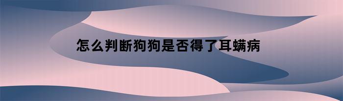 怎么判断狗狗是否得了耳螨病