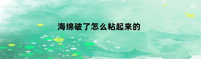 海绵破了怎么粘起来的