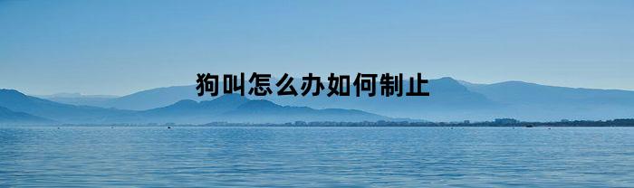 狗叫怎么办如何制止