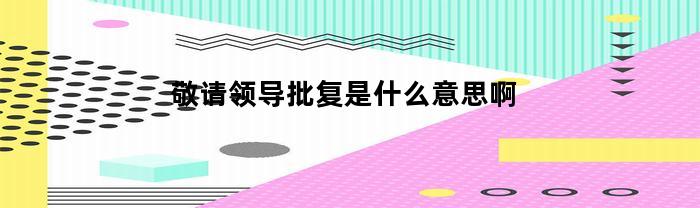 敬请领导批复是什么意思啊