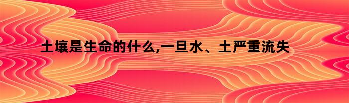 土壤是生命的什么,一旦水、土严重流失