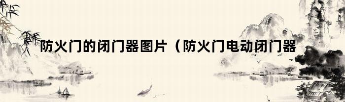 防火门的闭门器图片（防火门电动闭门器图例）
