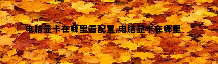 电脑显卡在哪里看配置,电脑显卡在哪里看型号(在哪里看电脑显卡配置和型号)