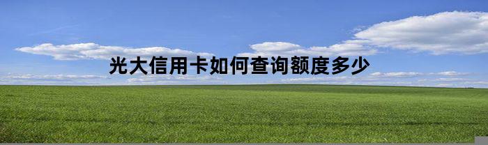 光大信用卡如何查询额度多少