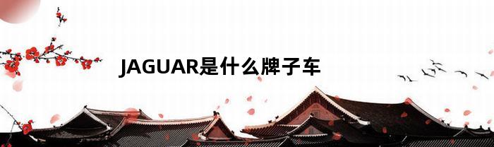 JAGUAR是什么牌子车