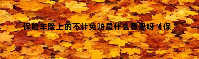保险车险上的不计免赔是什么意思呀（保险车险上的不计免赔是什么意思呢）
