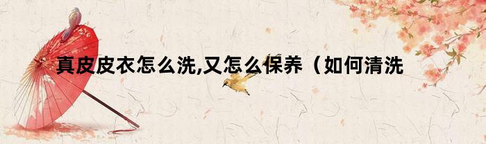 真皮皮衣怎么洗,又怎么保养（如何清洗真皮衣）