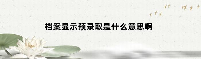 档案显示预录取是什么意思啊